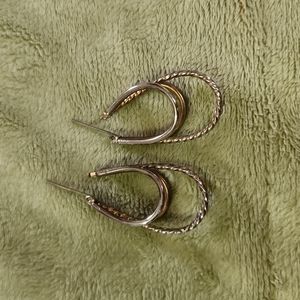 Horseshoe shaped earrings